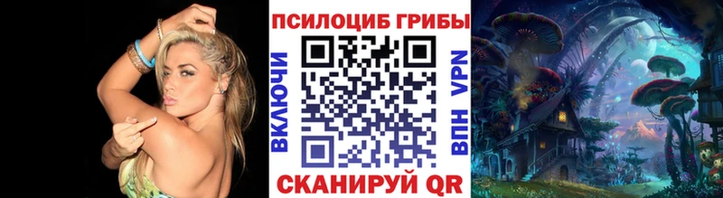 OMG зеркало  Чудово  Галлюциногенные грибы Cubensis  сколько стоит 